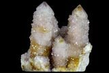 Cactus Quartz (Amethyst) Cluster - South Africa #115118-1